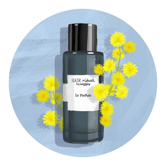 Produtos para o cabelo